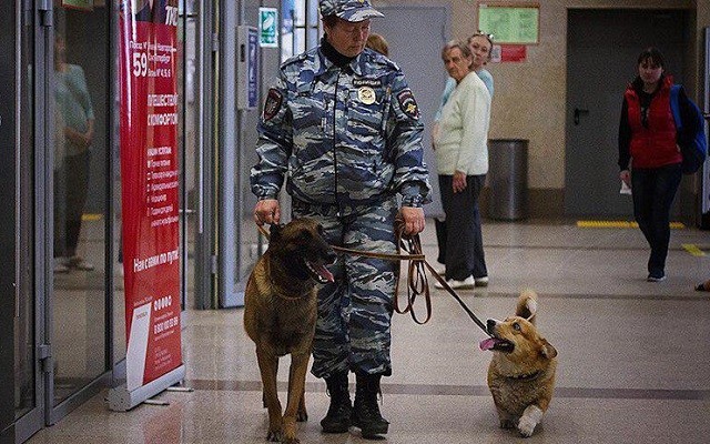 Рыжий - самый милый полицейский в России (10 фото)