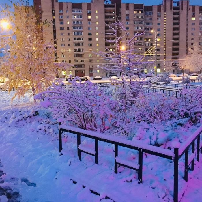 Петербуржцы делятся фотографиями первого снега (14 фото)