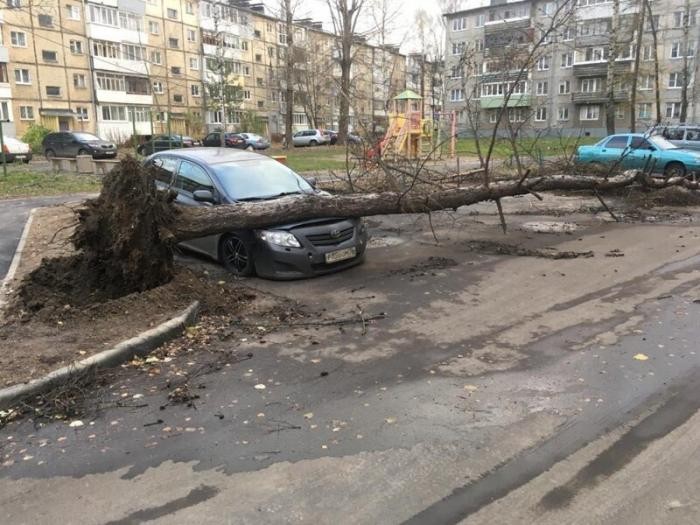 Последствия урагана в Ярославле (11 фото)