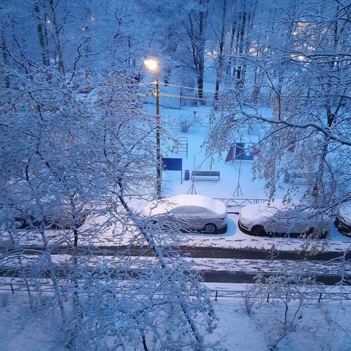 Петербуржцы делятся фотографиями первого снега (14 фото)