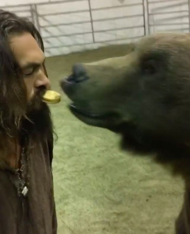 Отважный или безрассудный: Момоа покормил медведя изо рта (3 фото)