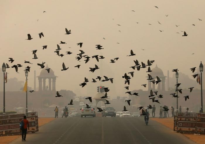Великий смог в Нью-дели (17 фото)