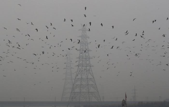 Великий смог в Нью-дели (17 фото)