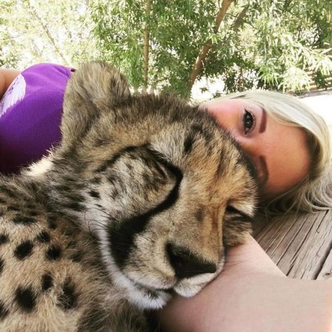 Она спасла котенка гепарда от охотников за трофеями (8 фото)