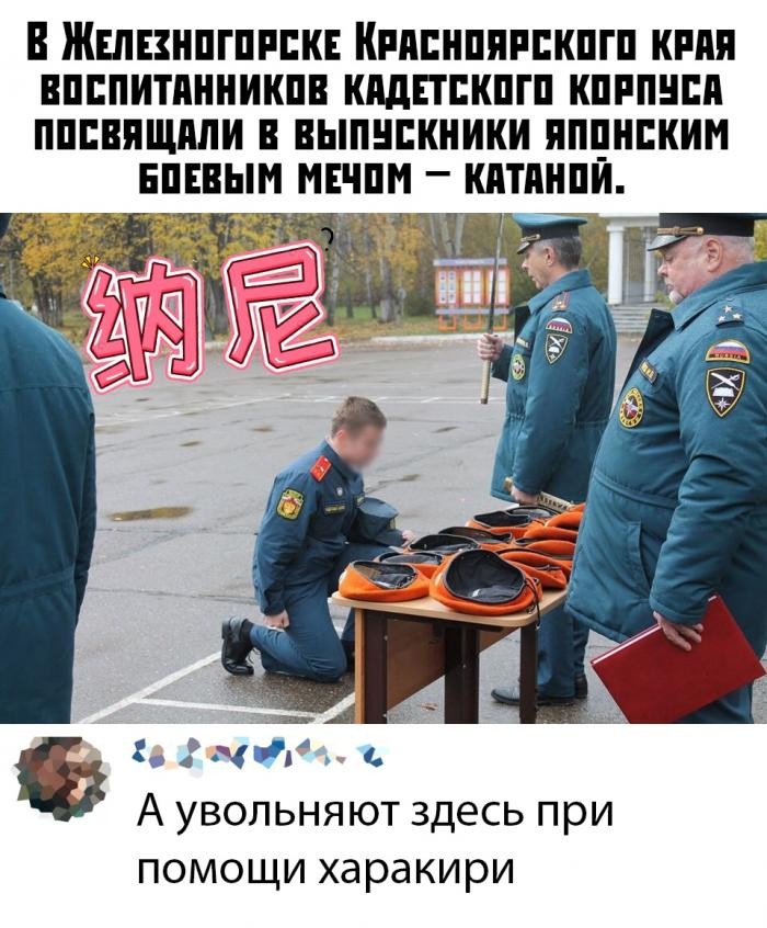 Подборка прикольных фото (65 фото) 14.11.2019