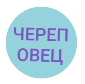 В Сети отреагировали на новый логотип Петербурга (9 фото)
