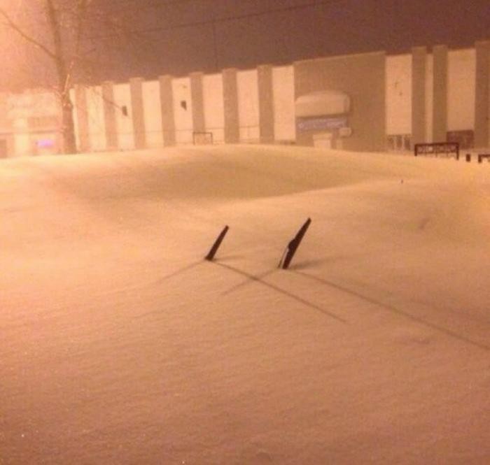 Бывают в жизни огорчения... (40 фото)