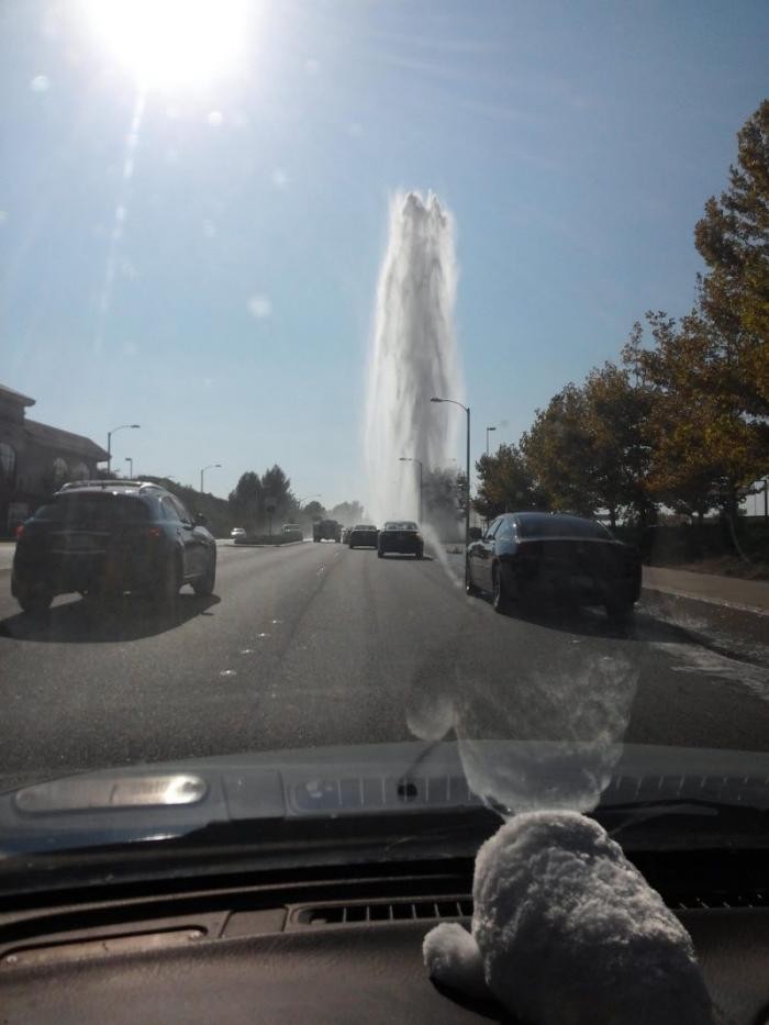 Бывают в жизни огорчения... (40 фото)