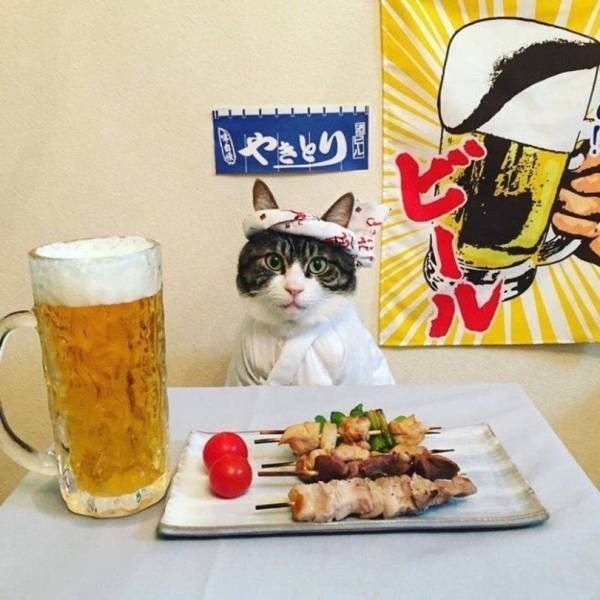 Подборка прикольных фото (61 фото) 25.11.2019