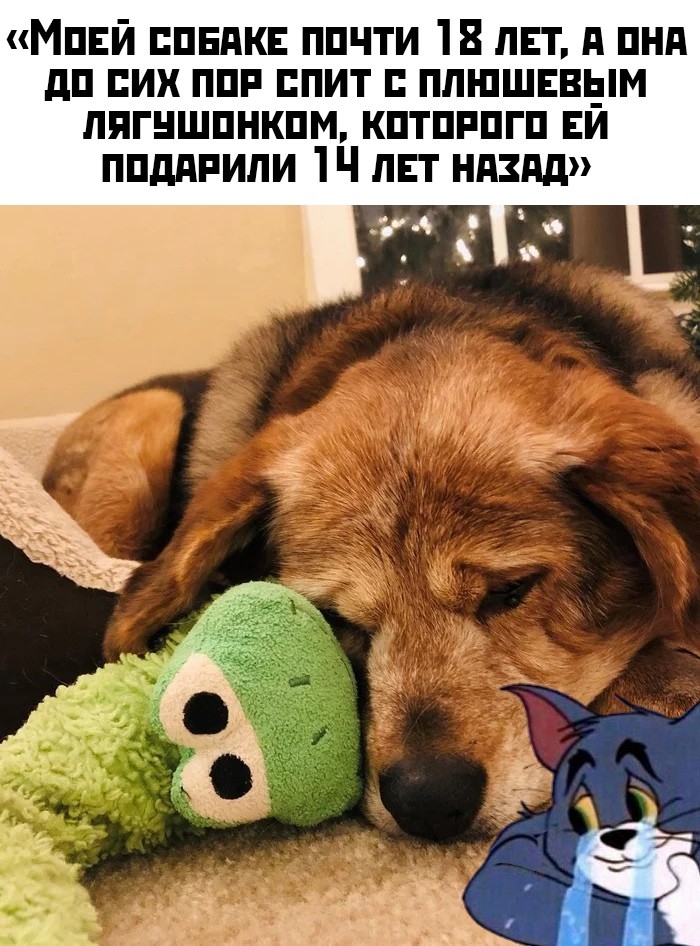 Подборка прикольных фото (71 фото) 03.12.2019