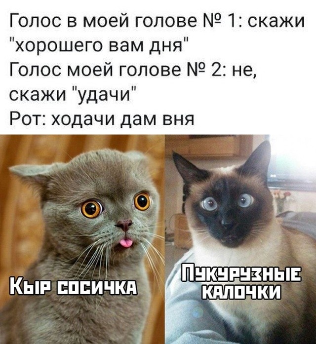 Подборка прикольных фото (68 фото) 04.12.2019