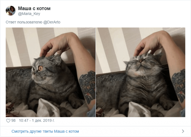 Пользователей Twitter попросили показать их животные (25 фото)