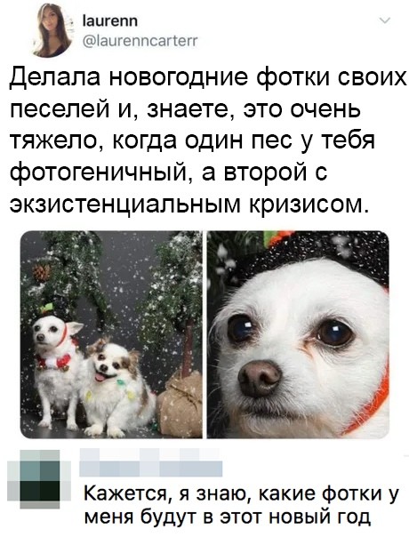 Подборка прикольных фото (67 фото) 10.12.2019