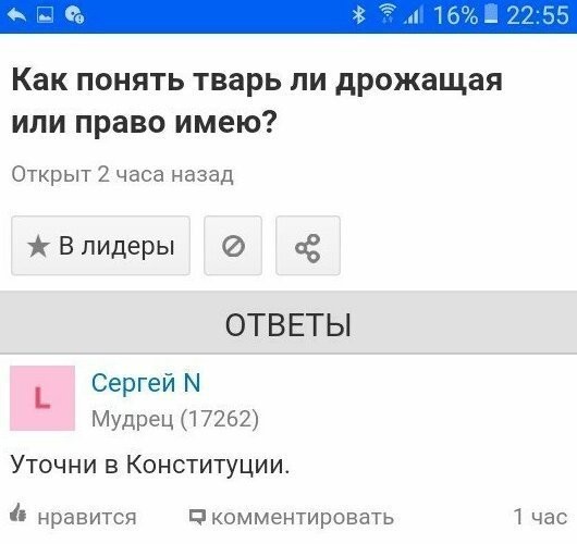 Смешные ответы на вопросы в Интернете (20 фото)