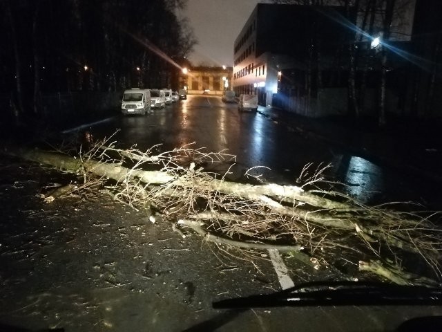Последствия штормового ветра в Петербурге (9 фото)