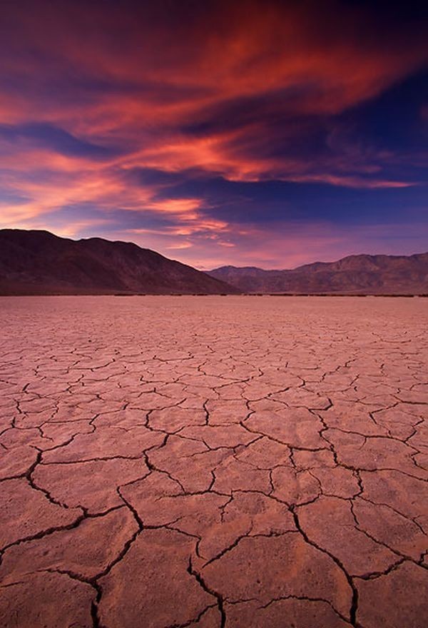 Сказочная пустыня Анза-Боррего (17 фото)