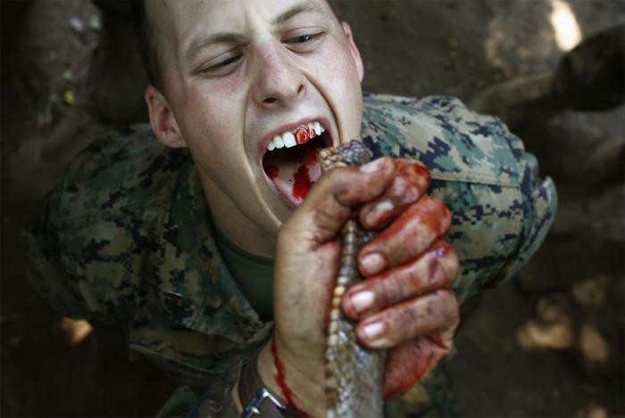 Суровые тренировки в армиях разных стран (11 фото)