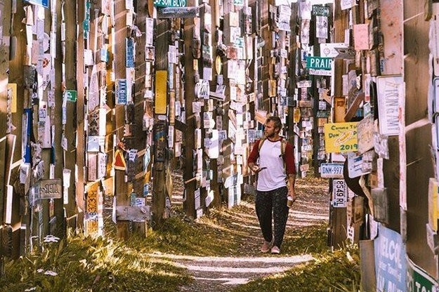 90 000 дорожных знаков в одном из лесов Канады (7 фото)