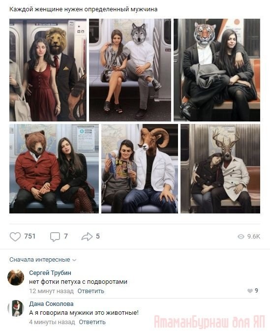 Комментарии в социальных сетях (50 фото)