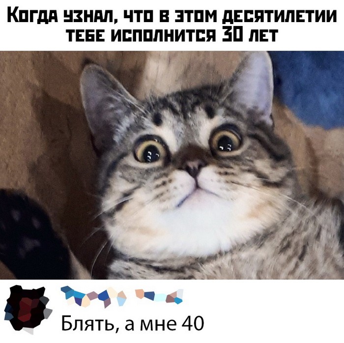 Скриншоты из социальных сетей (25 фото)