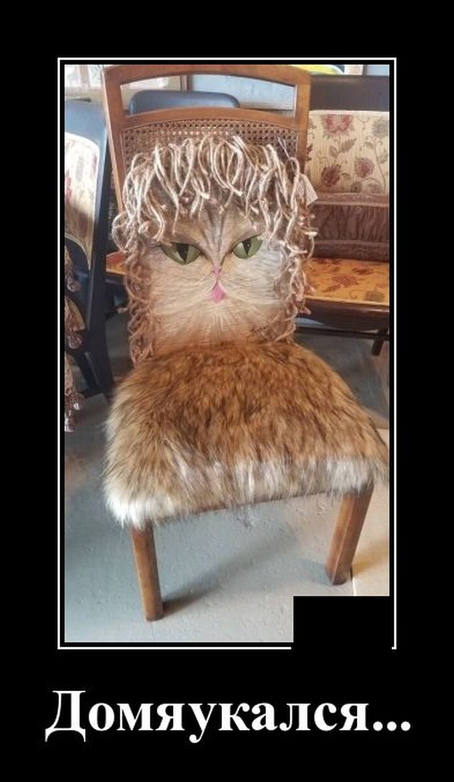 Демотиваторы (20 фото) 13.01.2020