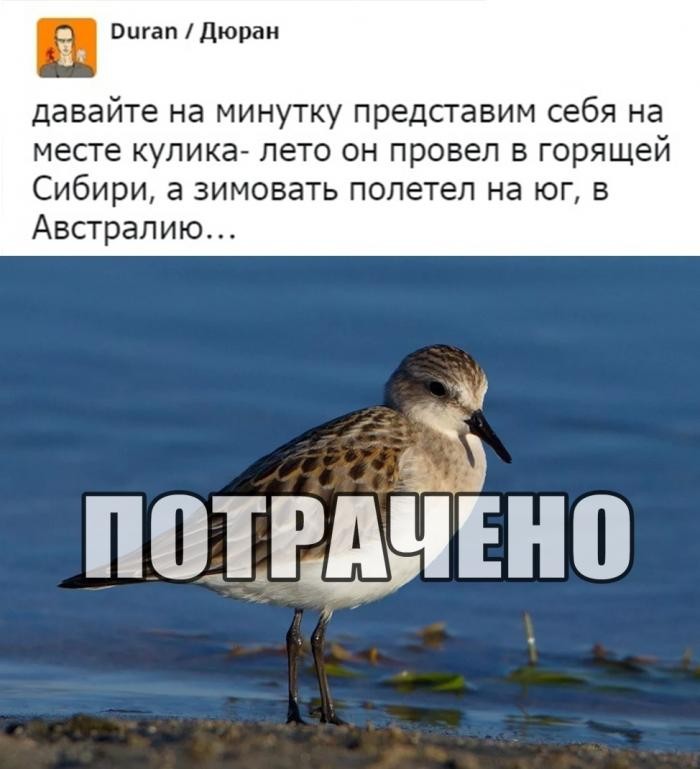 Подборка прикольных фото (65 фото) 14.01.2020