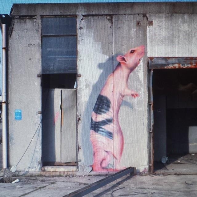 На эти граффити в Милане стоит смотреть внимательнее (10 фото)