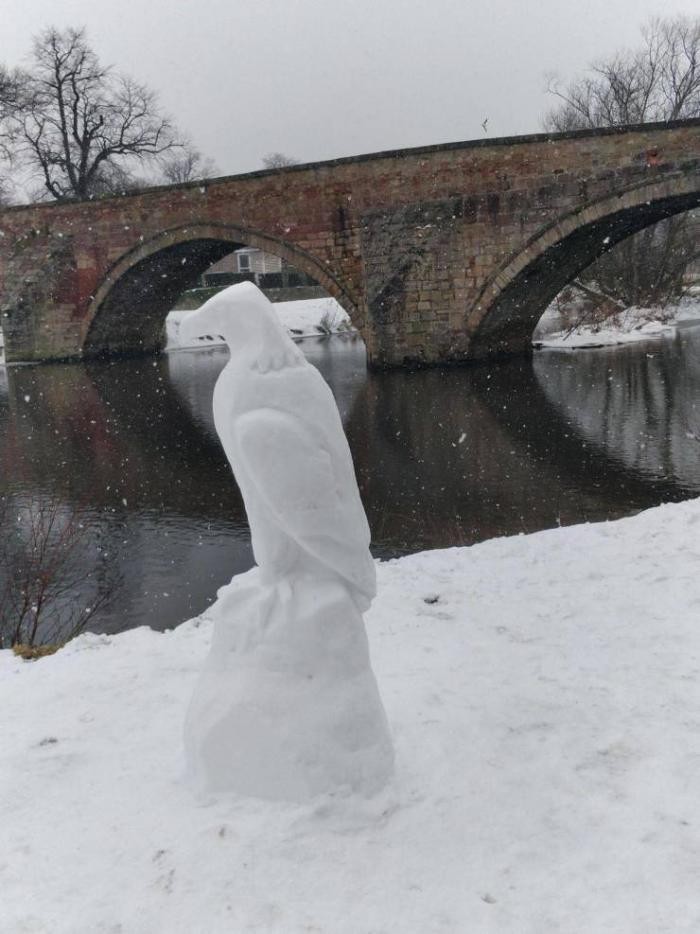 Подборка прикольных фото (65 фото) 14.01.2020