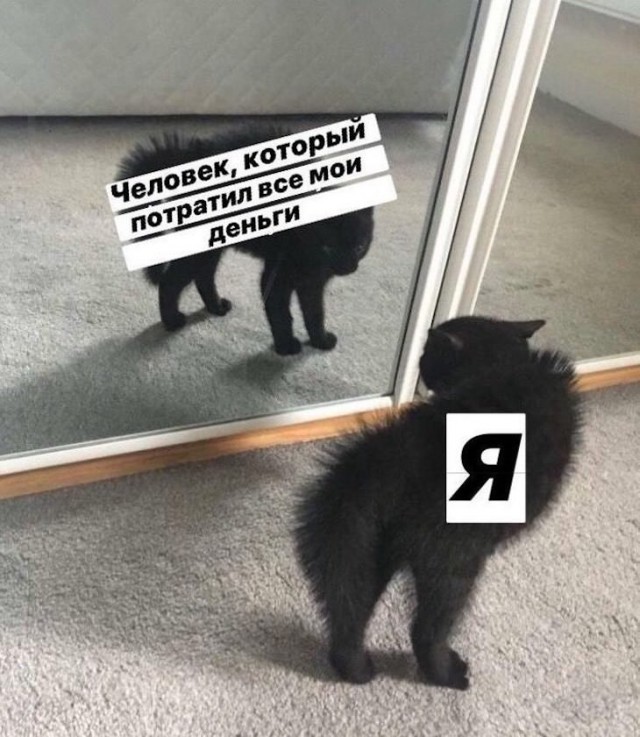 Подборка прикольных фото (65 фото) 14.01.2020