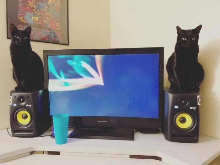 Подборка прикольных фото (65 фото) 14.01.2020