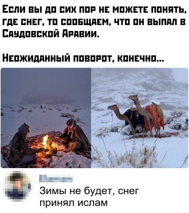 Подборка прикольных фото (65 фото) 14.01.2020