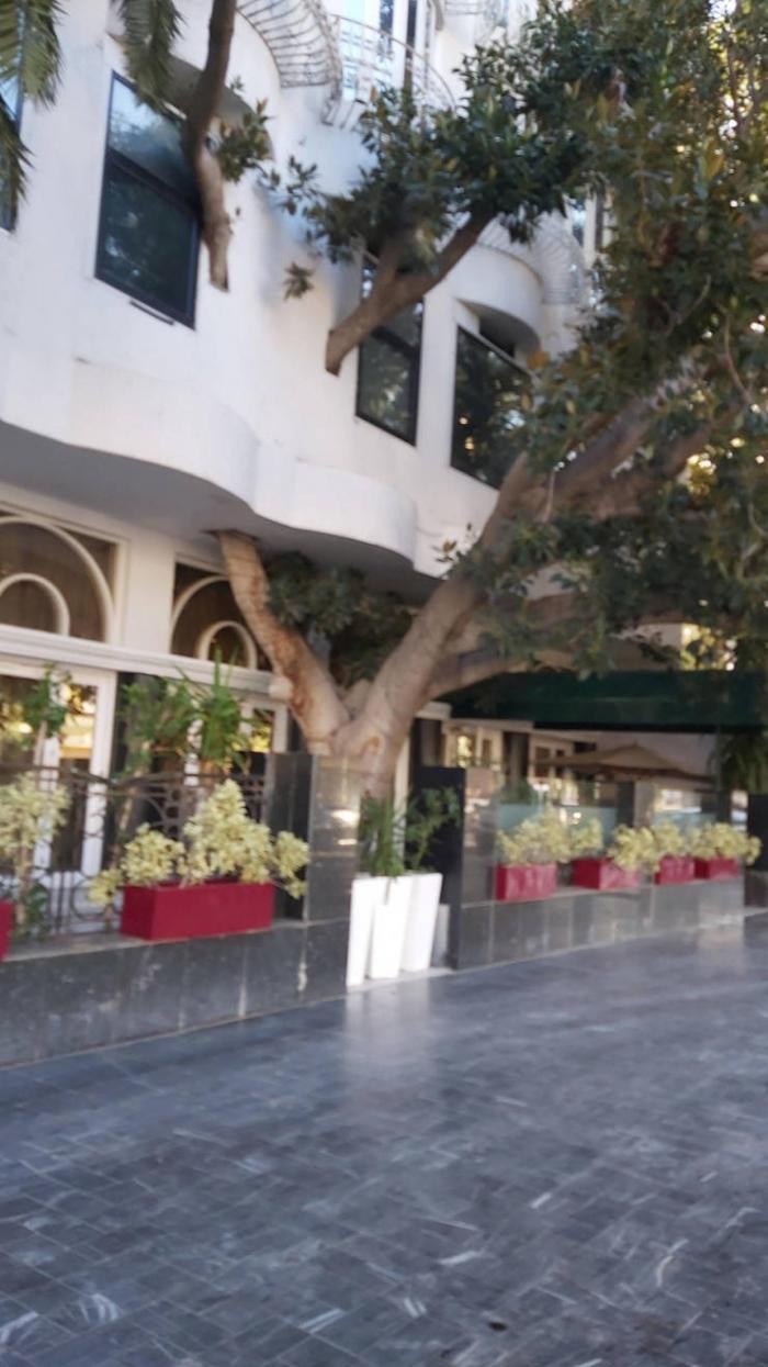 Подборка прикольных фото (65 фото) 14.01.2020