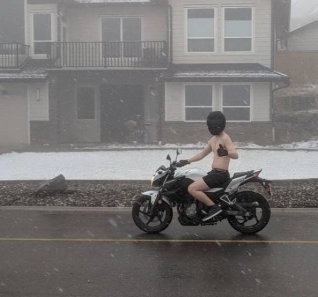 Подборка прикольных фото (65 фото) 14.01.2020