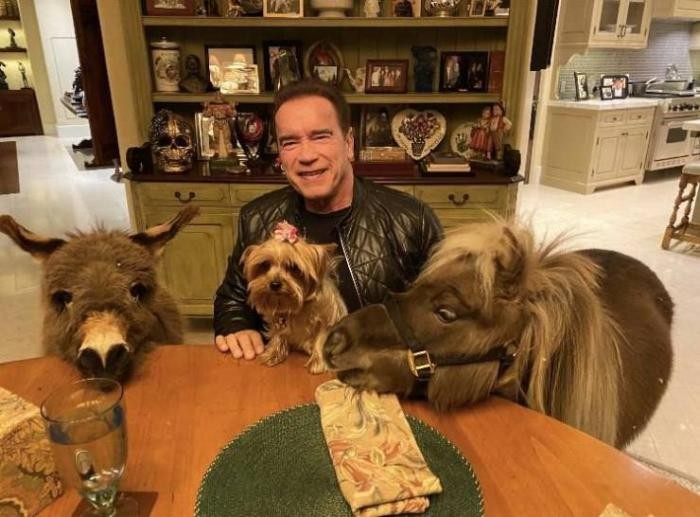 Подборка прикольных фото (64 фото) 15.01.2020