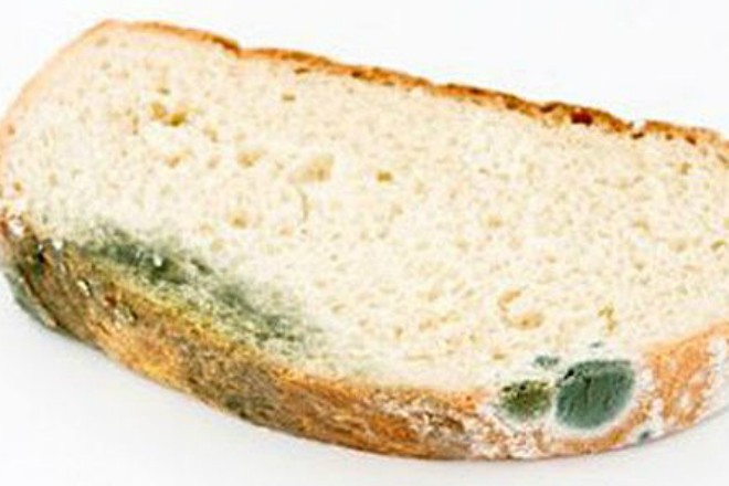 Что будет если съесть хлеб с плесенью (5 фото)