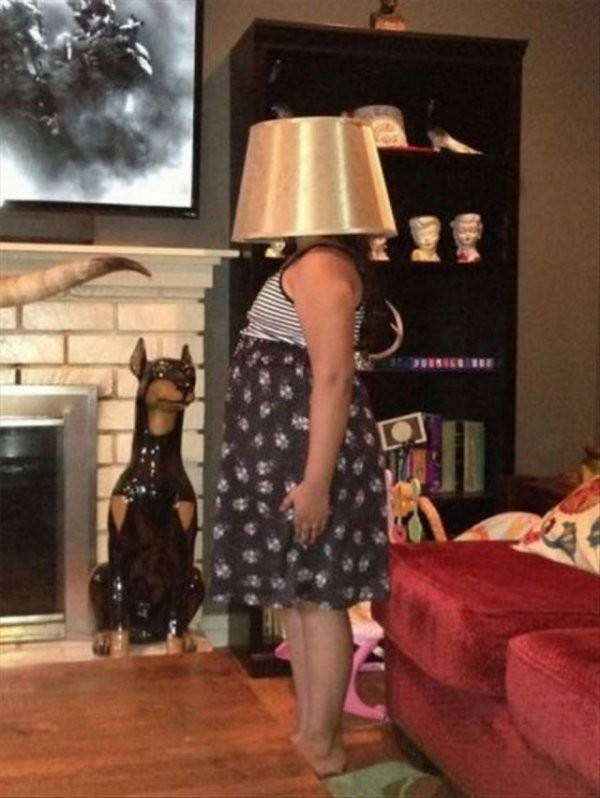 WTF: что тут происходит? (40 фото)