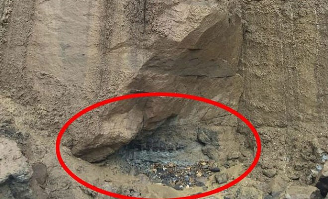 В скале нашли окаменелого динозавра (5 фото)