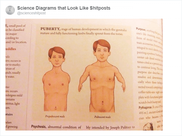 Безумные иллюстрации из школьных учебников (22 фото)