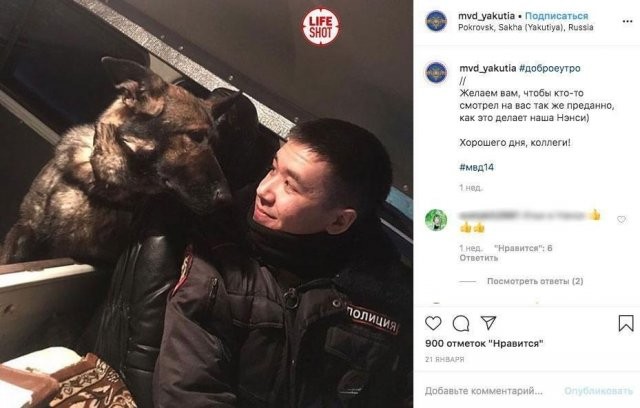 Собаки, котики: пресс служба МВД изменила подачу материала (7 фото)