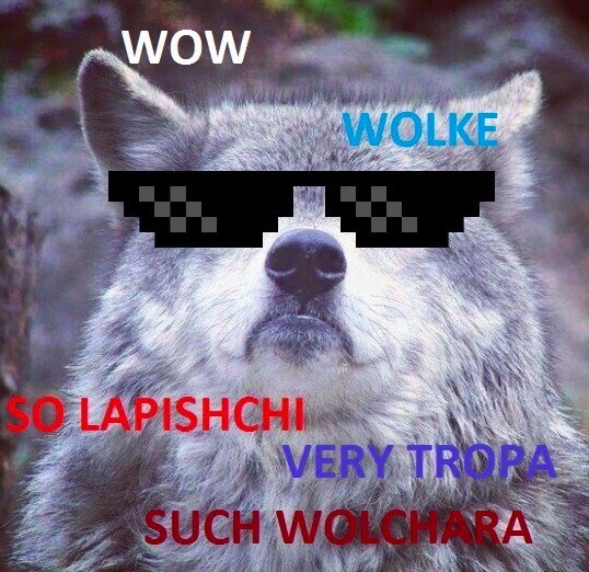 «Шерстяной волчара» из знаменитого мема оказался волчицей (10 фото)