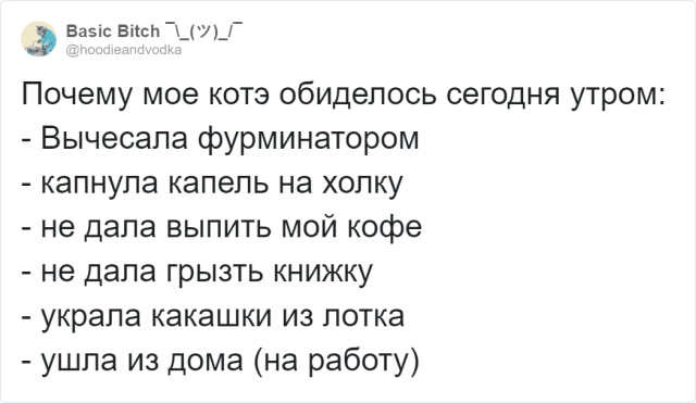 "За что на меня обиделась собака?": забавный флешмоб (12 скриншотов)