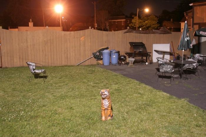 Жизнь обитателей детройтских окраин в фотографиях (40 фото)