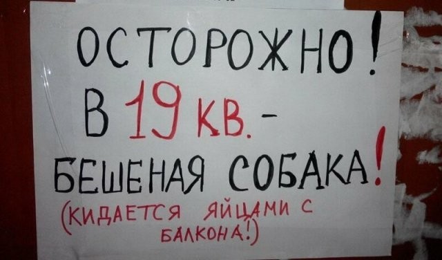 Смешные объявления о пропавших животных (13 фото)