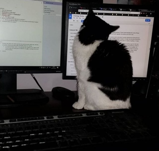 Наглецы, которые многих раздражают (12 фото)