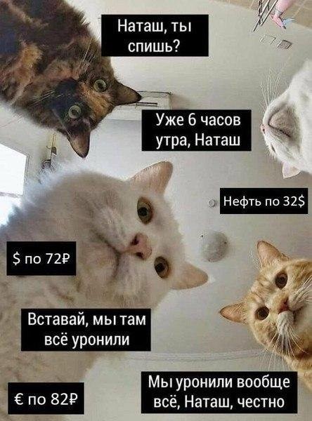Шутки и юмор из социальных сетей про обвал рубля (20 фото)
