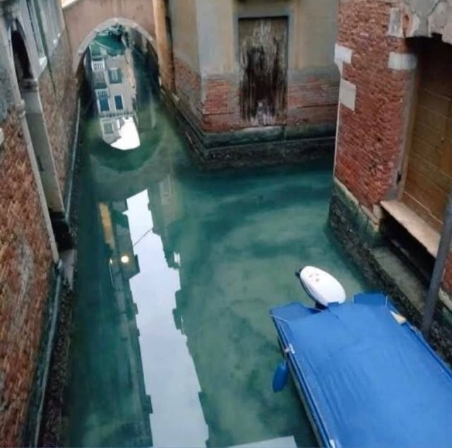 Вот что карантин сделал с водой в Венеции (4 фото)