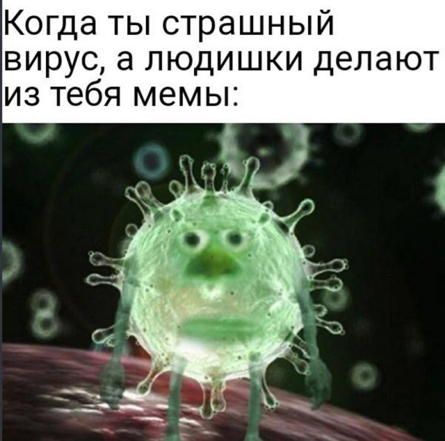 Лучшие мемы о коронавирусе (16 фото)