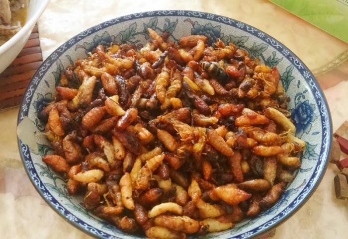 Жареные осы — необычное японское блюдо (5 фото)