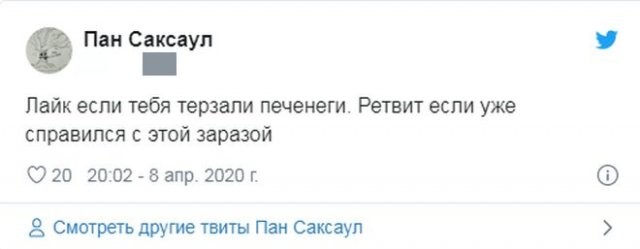 Реакция россиян на речь Путина про печенегов и половцев (17 фото)
