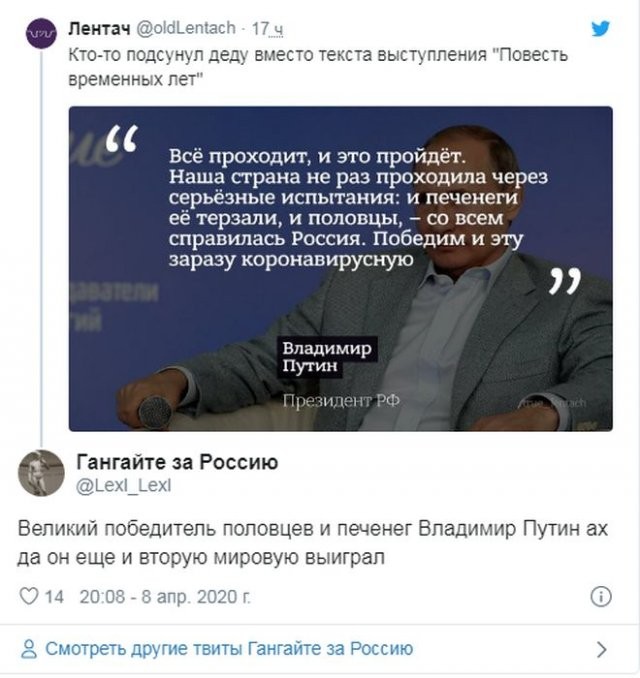 Реакция россиян на речь Путина про печенегов и половцев (17 фото)